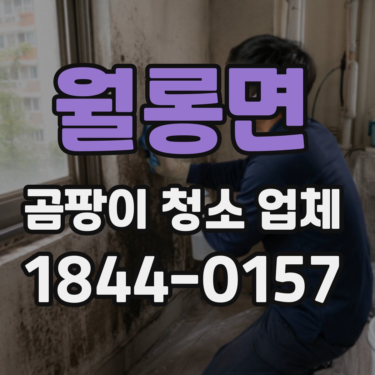 월롱면 곰팡이 청소 업체