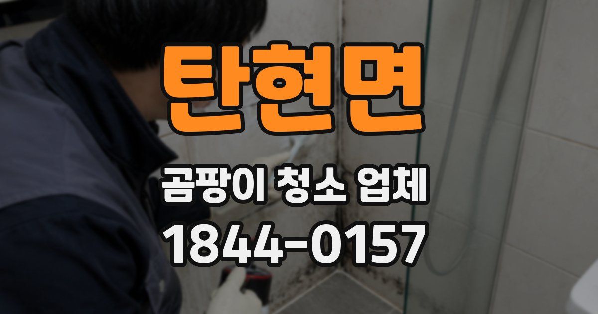 탄현면 곰팡이 청소 업체