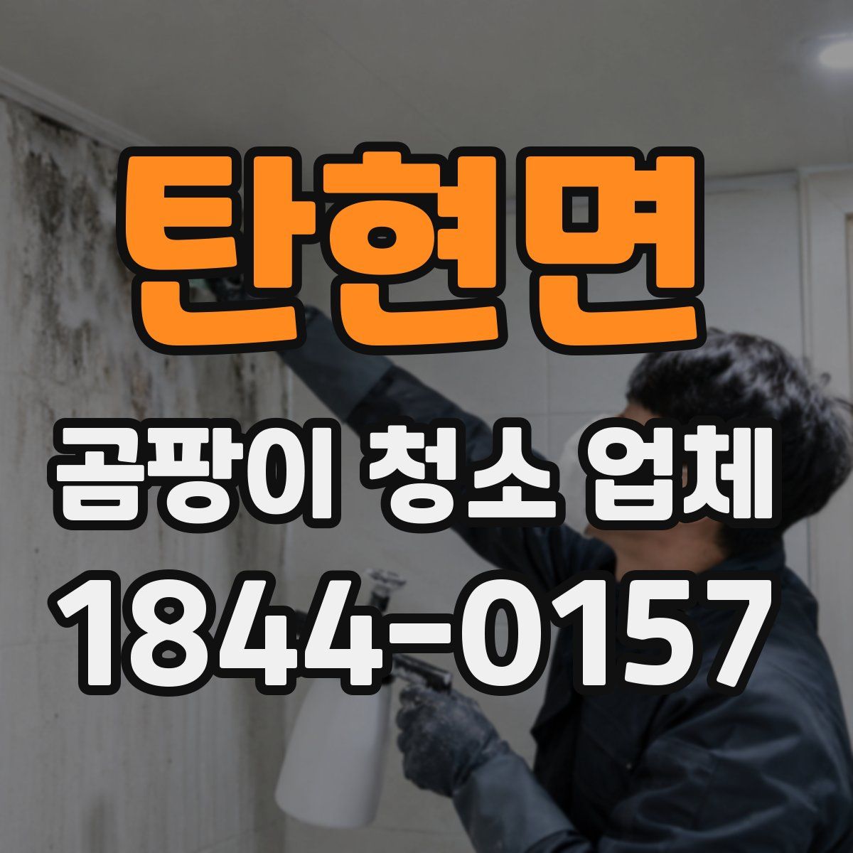 탄현면 곰팡이 청소 업체