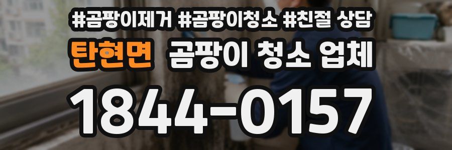 탄현면 곰팡이 청소 업체