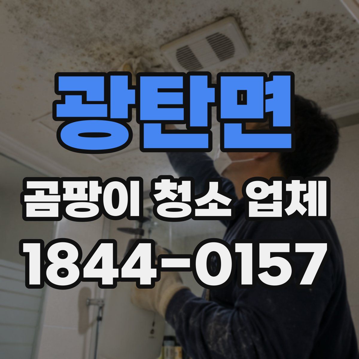 광탄면 곰팡이 청소 업체