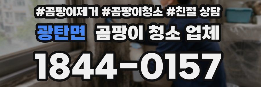 광탄면 곰팡이 청소 업체