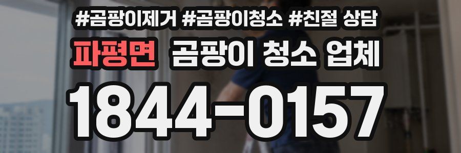파평면 곰팡이 청소 업체