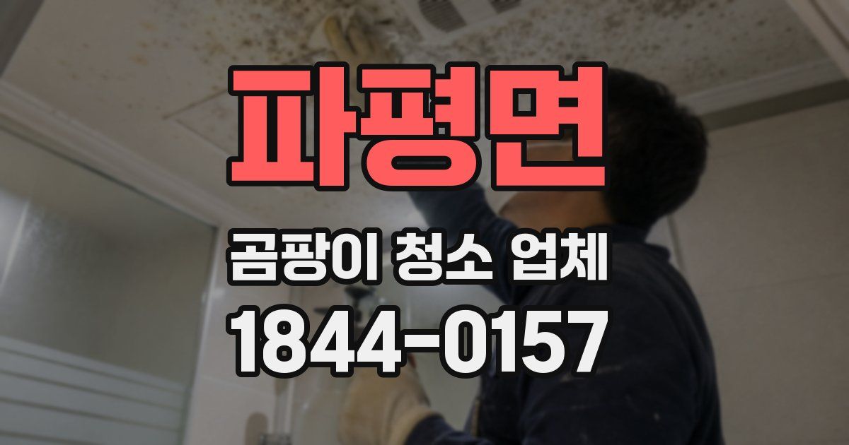 파평면 곰팡이 청소 업체