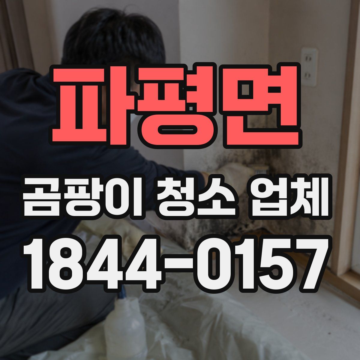 파평면 곰팡이 청소 업체