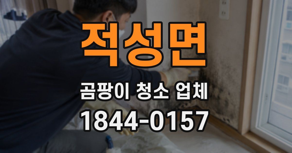 적성면 곰팡이 청소 업체
