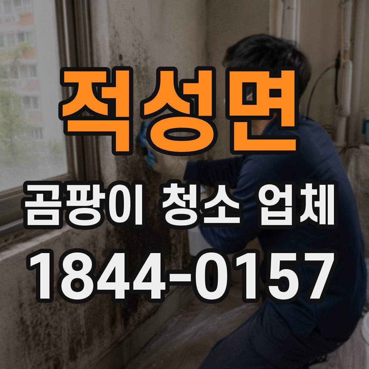 적성면 곰팡이 청소 업체