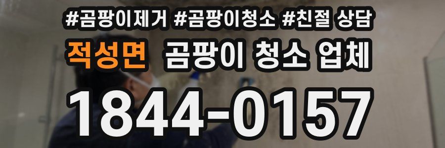 적성면 곰팡이 청소 업체