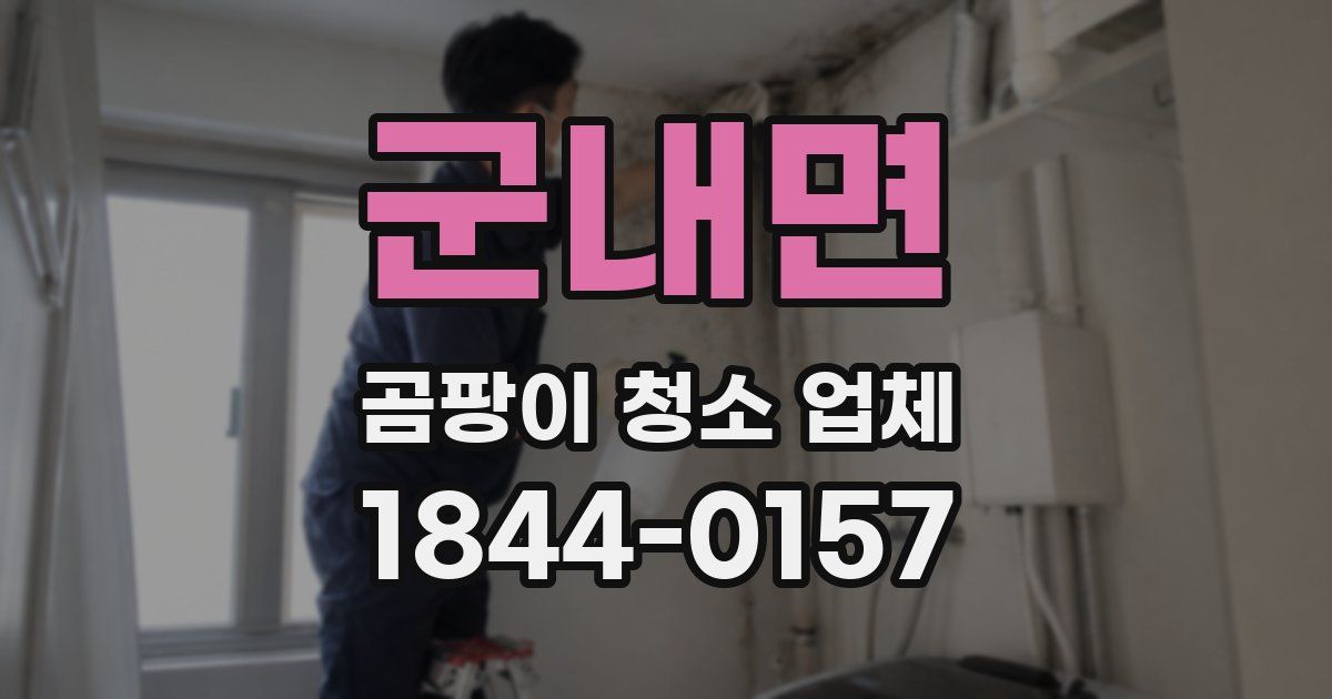 군내면 곰팡이 청소 업체