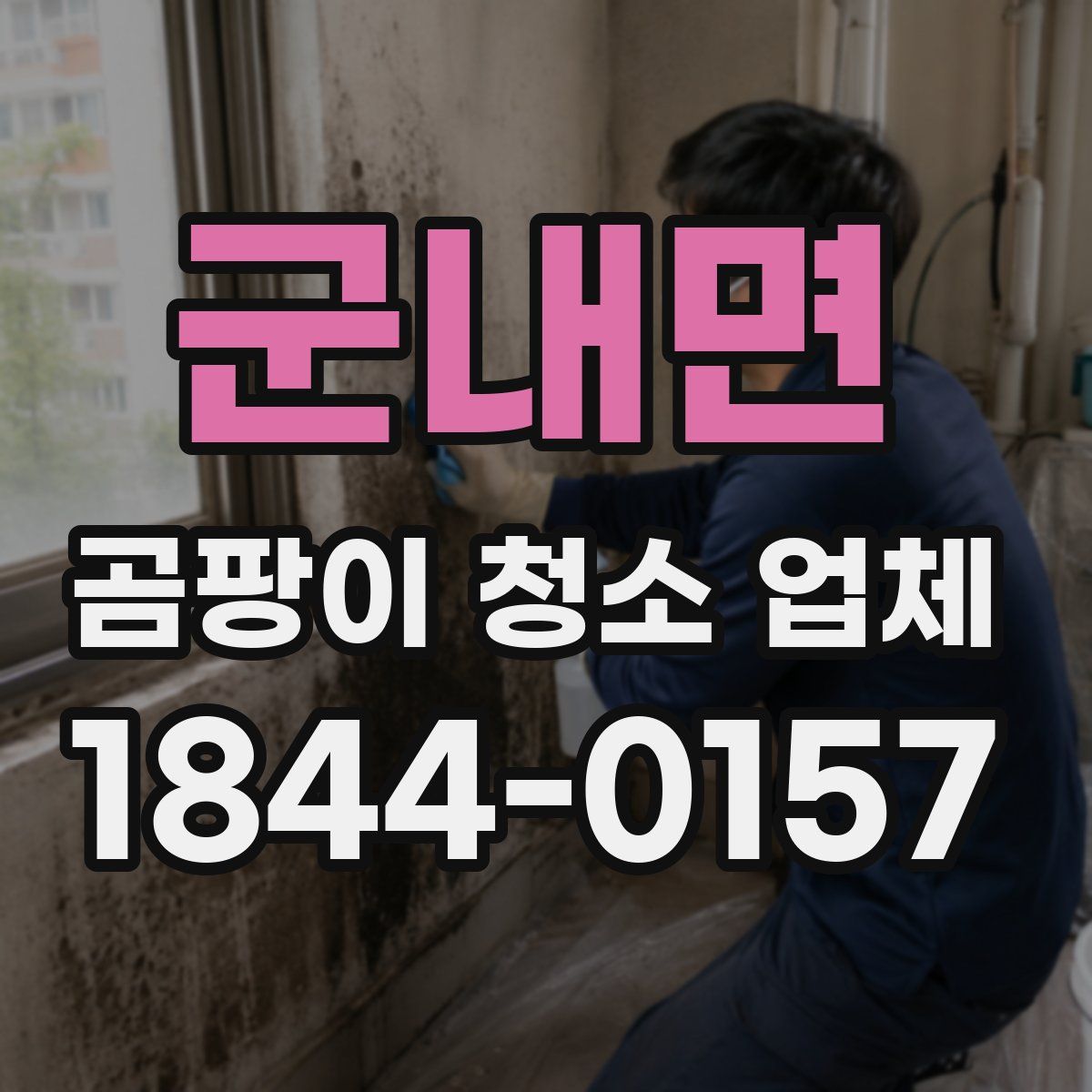 군내면 곰팡이 청소 업체