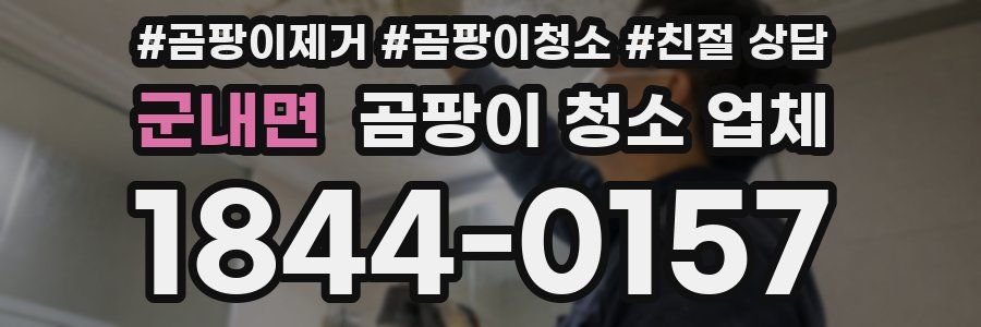 군내면 곰팡이 청소 업체