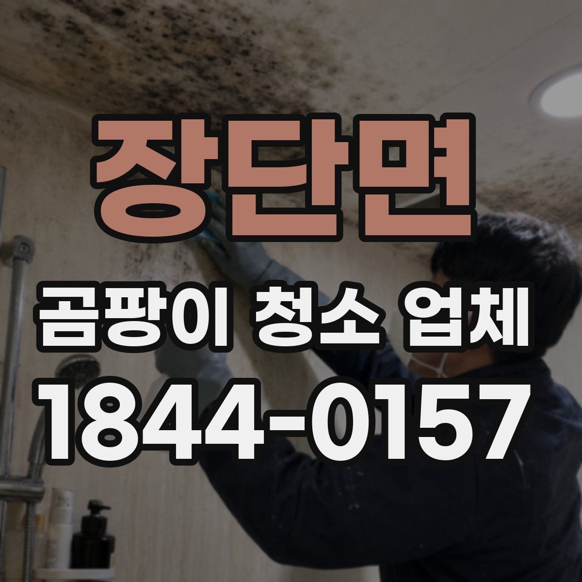장단면 곰팡이 청소 업체