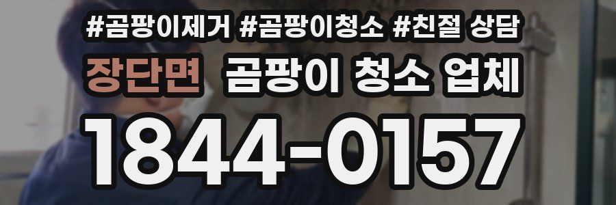 장단면 곰팡이 청소 업체