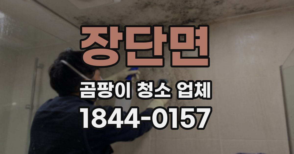 장단면 곰팡이 청소 업체