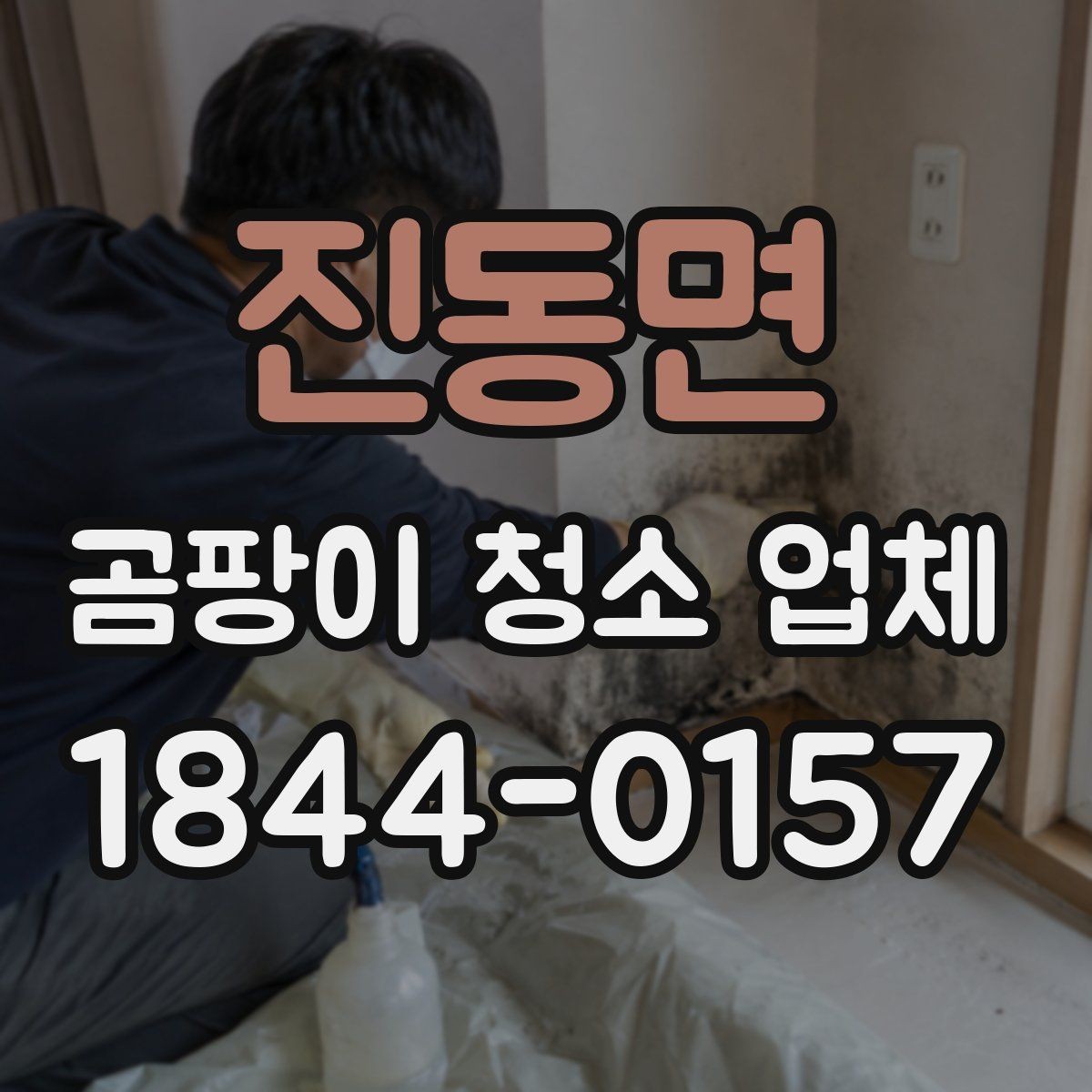 진동면 곰팡이 청소 업체 신청 전 실내 습도 점검 필요성