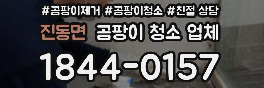 진동면 곰팡이 청소 업체