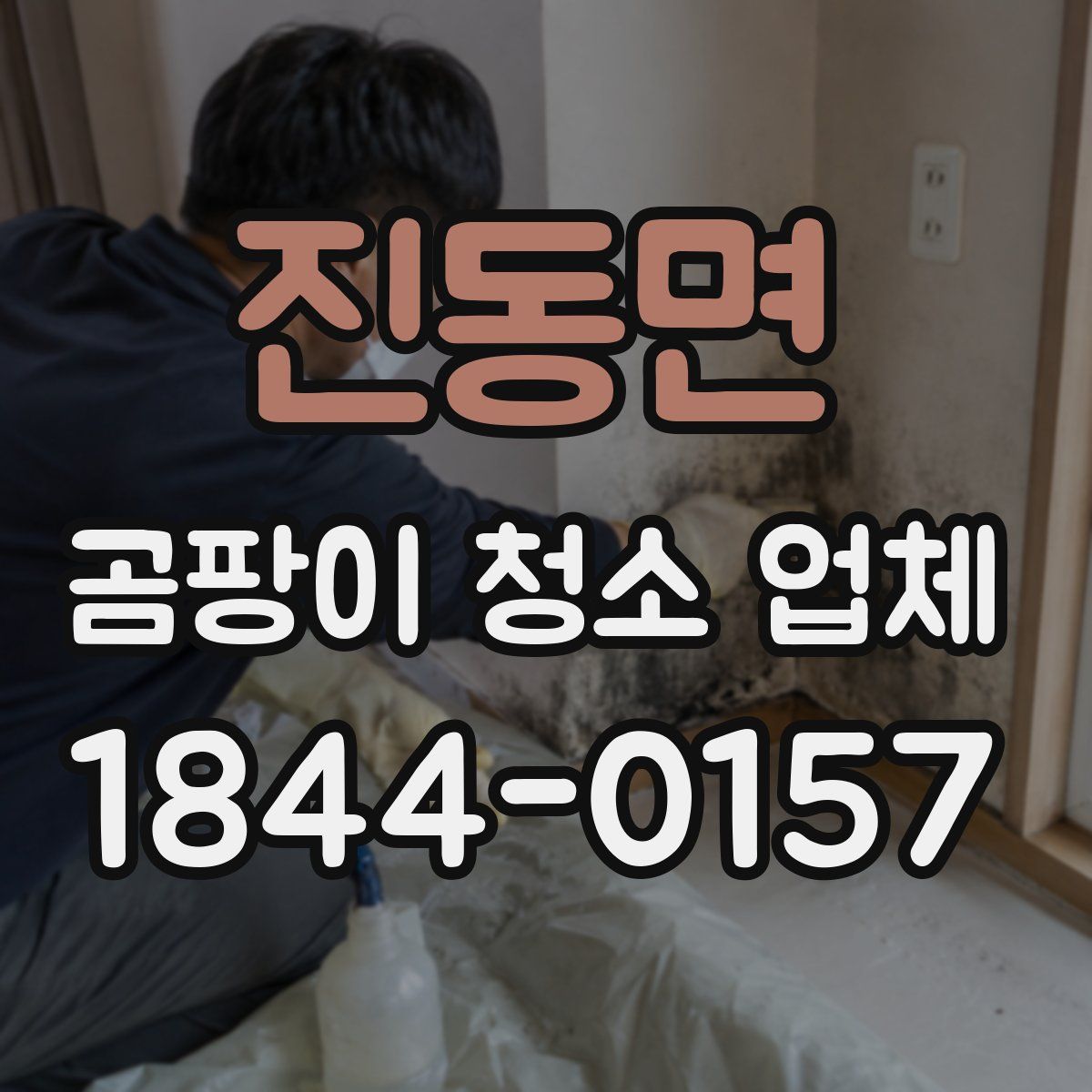 진동면 곰팡이 청소 업체