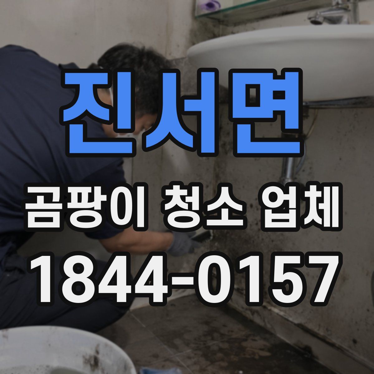 진서면 곰팡이 청소 업체