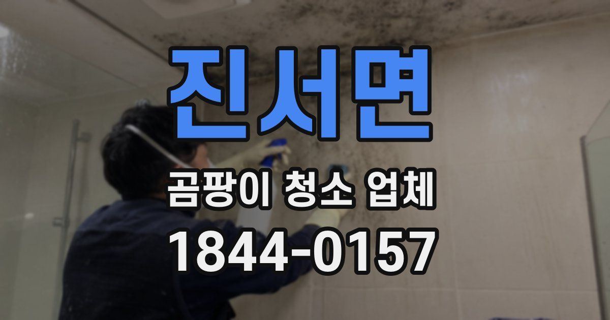 진서면 곰팡이 청소 업체