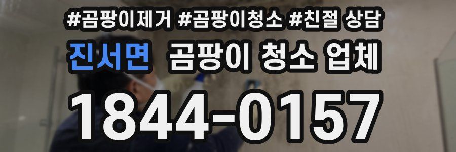 진서면 곰팡이 청소 업체
