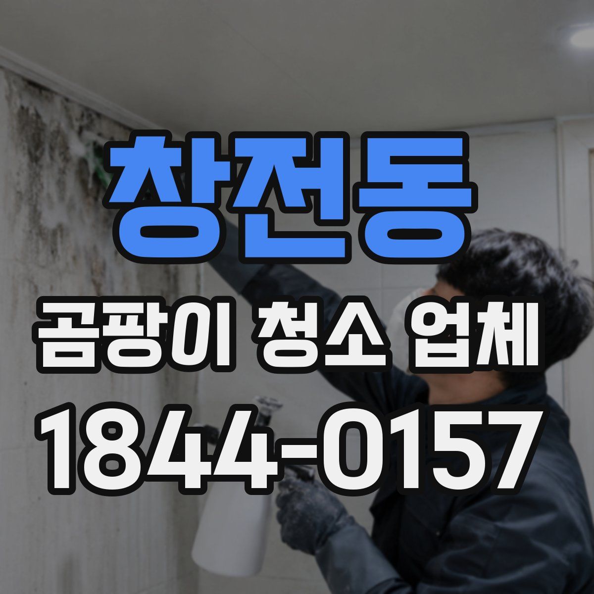 창전동 곰팡이 청소 업체