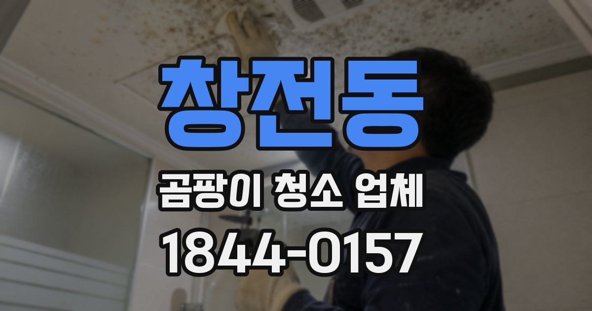 창전동 곰팡이 청소 업체