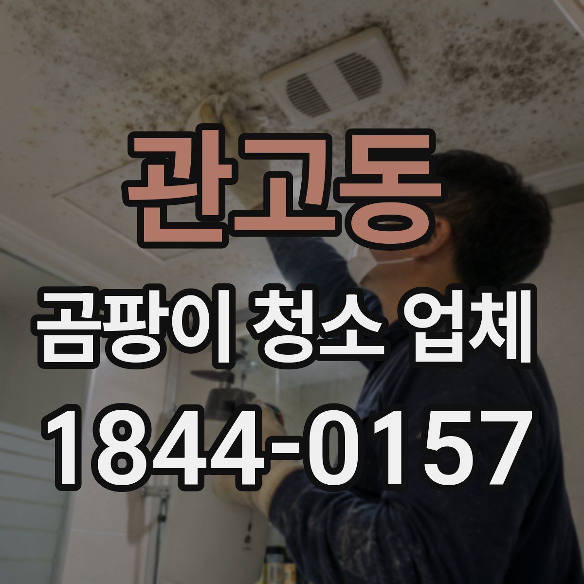 관고동 곰팡이 청소 업체
