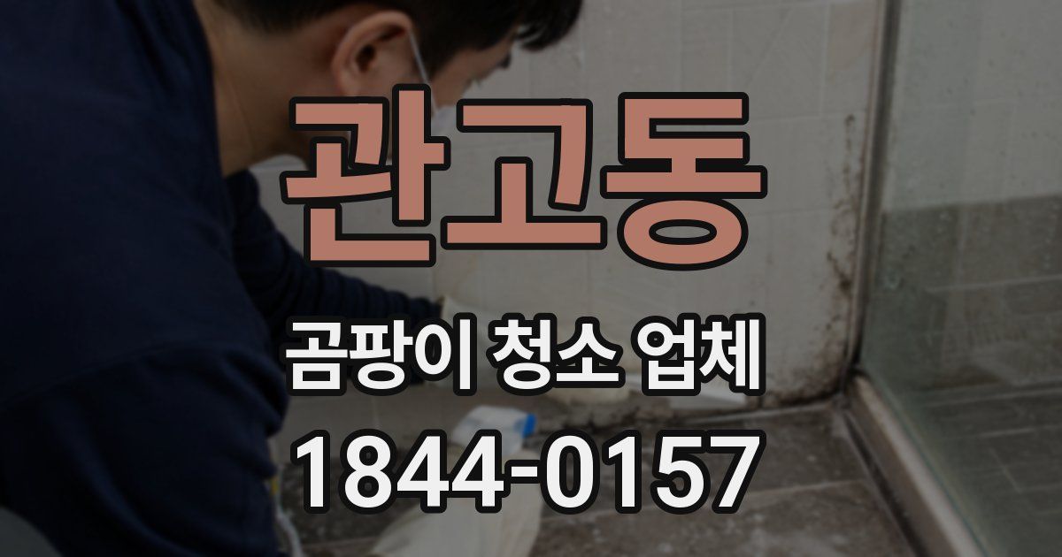 관고동 곰팡이 청소 업체