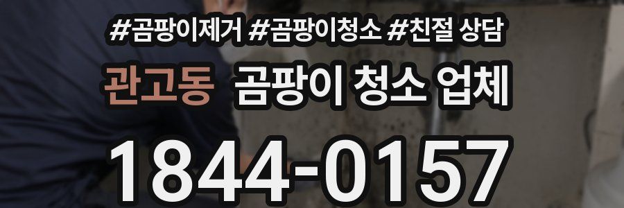 관고동 곰팡이 청소 업체