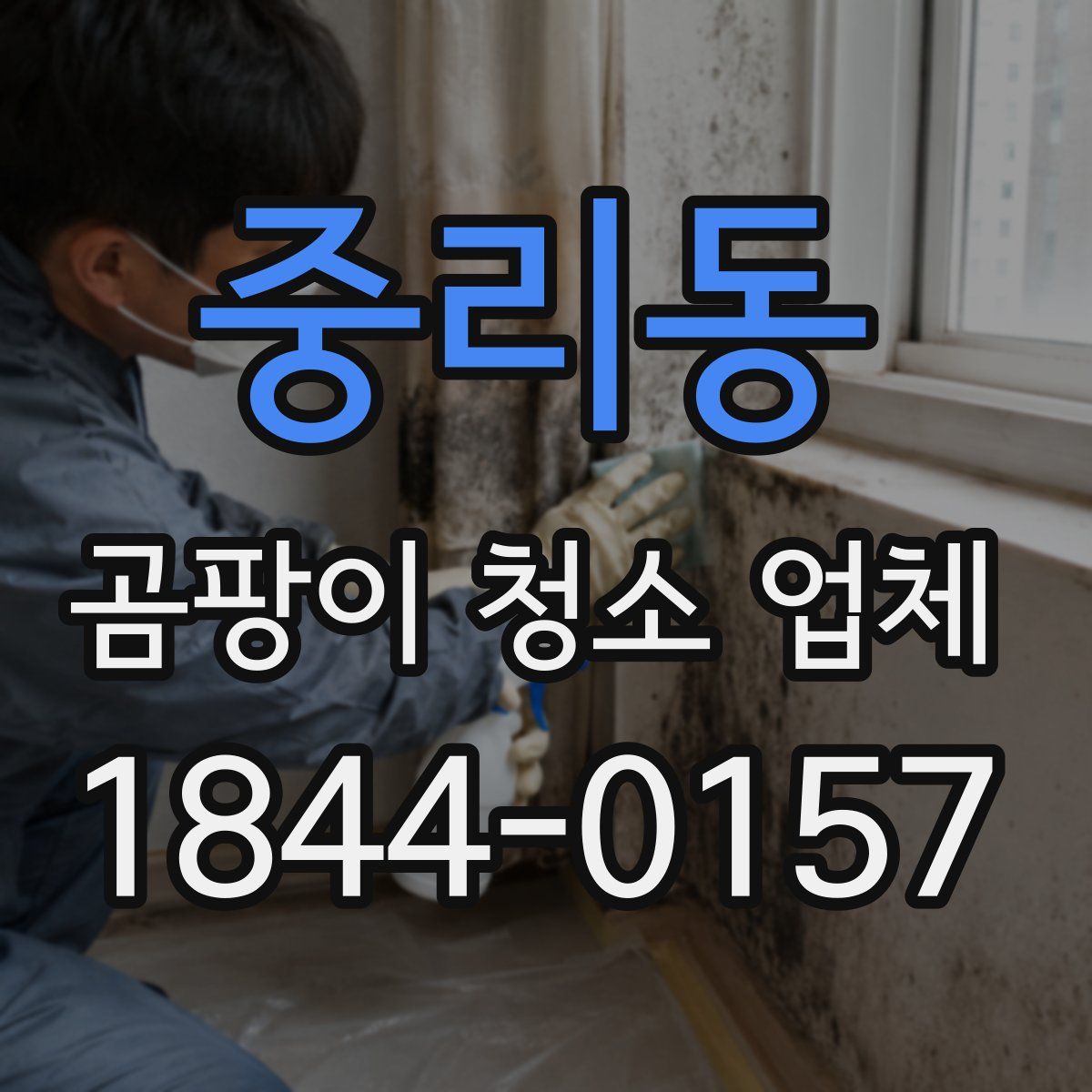 중리동 곰팡이 청소 업체
