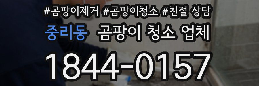 중리동 곰팡이 청소 업체