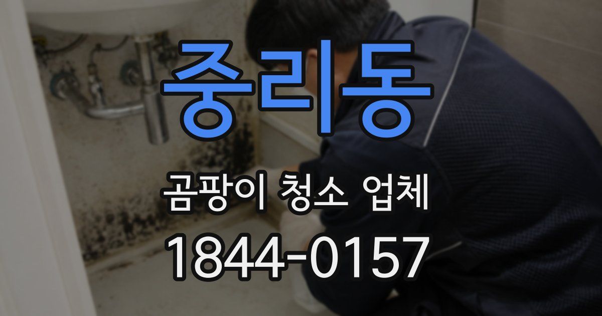 중리동 곰팡이 청소 업체