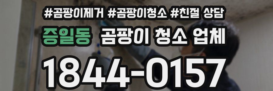 증일동 곰팡이 청소 업체