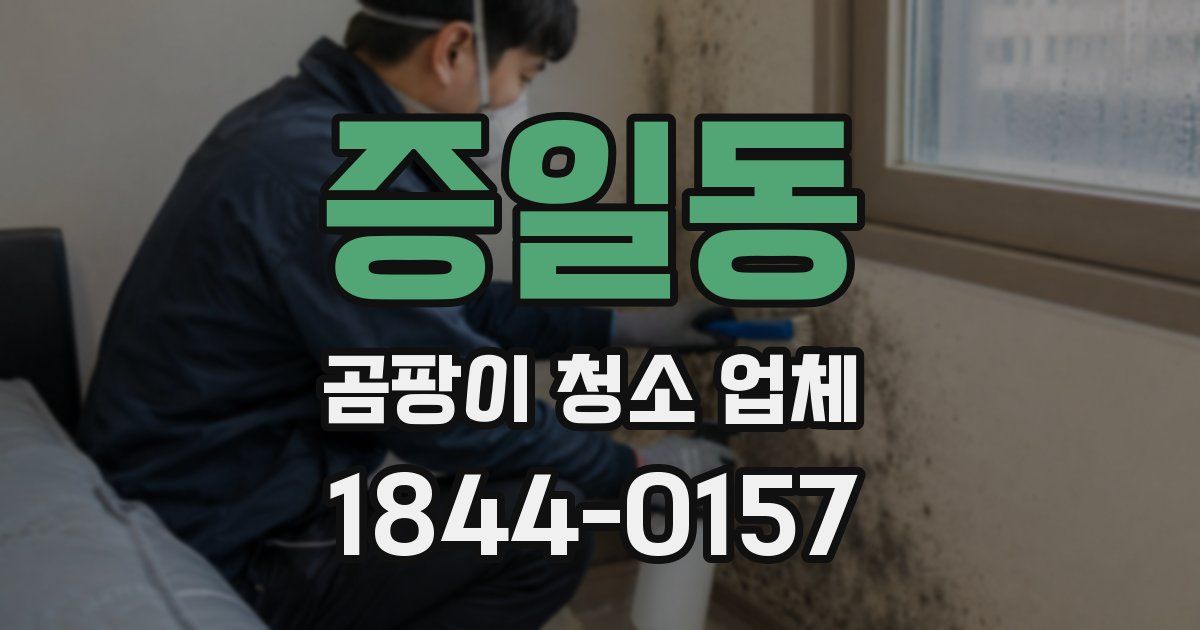 증일동 곰팡이 청소 업체