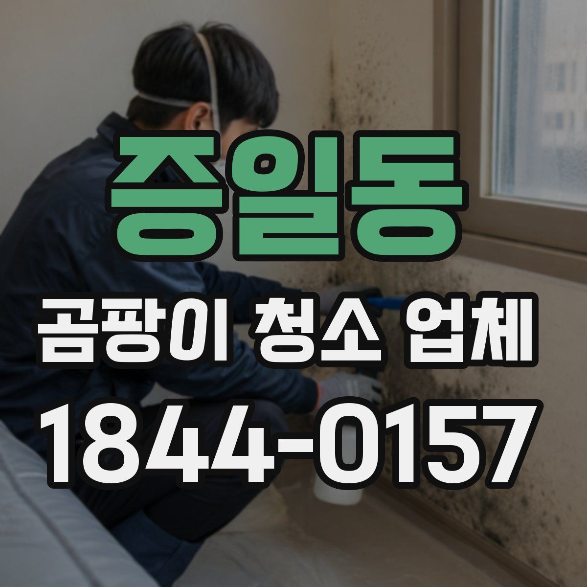 증일동 곰팡이 청소 업체