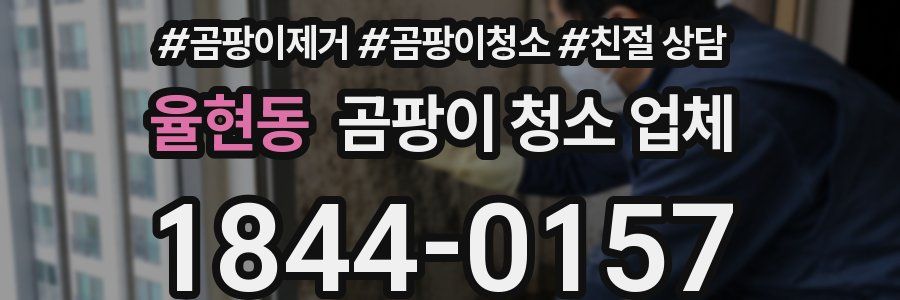 율현동 곰팡이 청소 업체