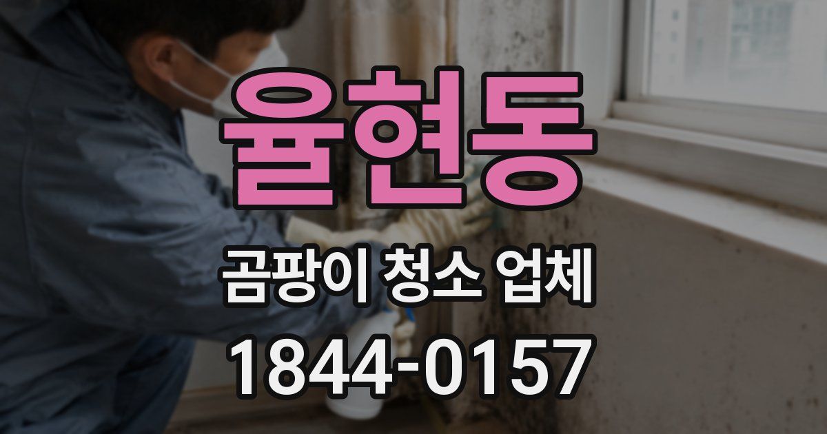 율현동 곰팡이 청소 업체