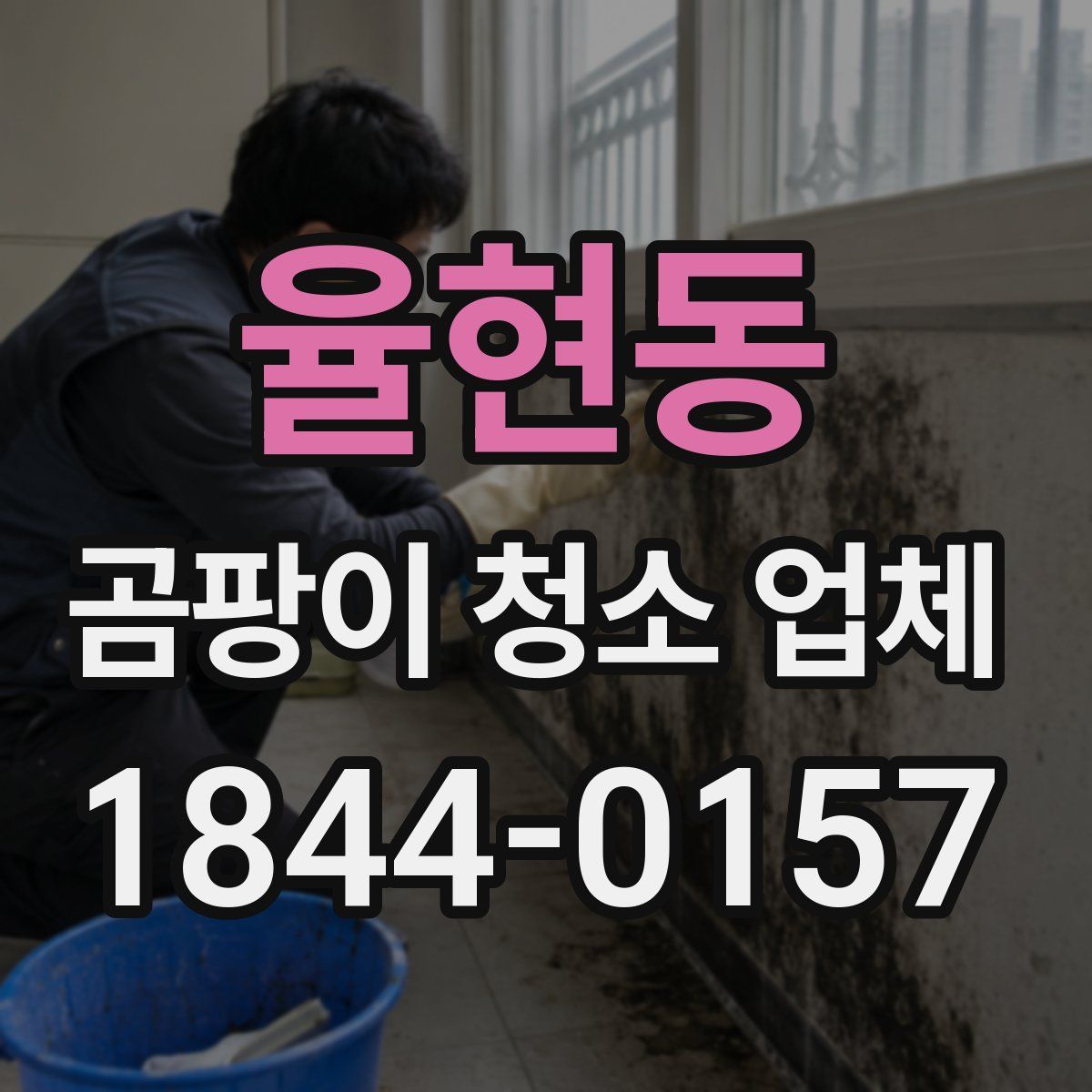 율현동 곰팡이 청소 업체