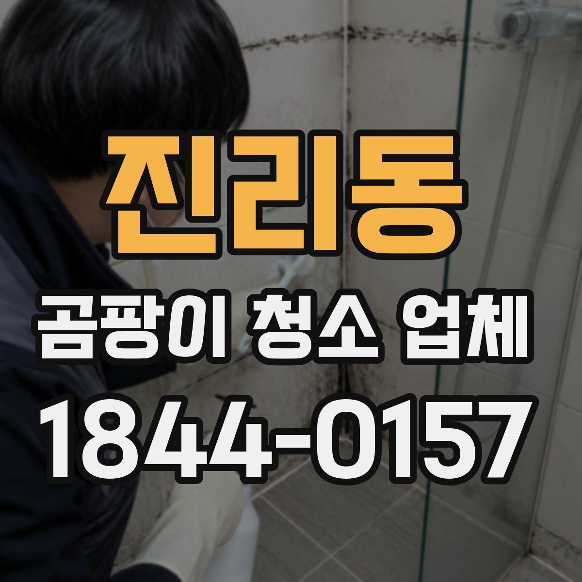 진리동 곰팡이 청소 업체