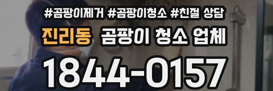 진리동 곰팡이 청소 업체