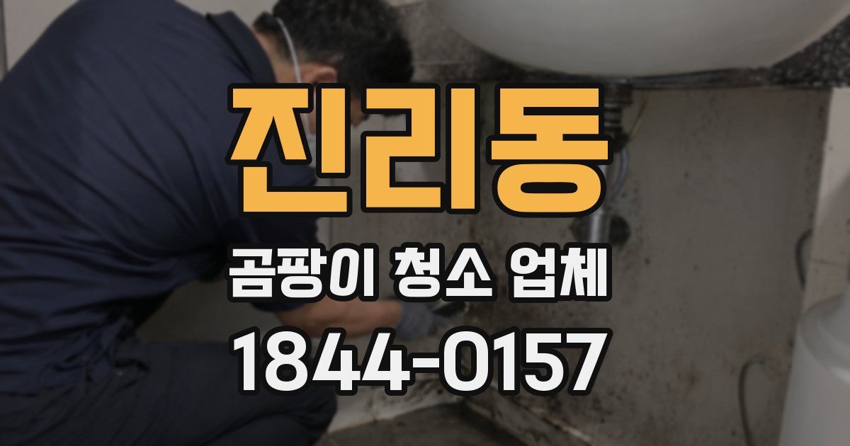 진리동 곰팡이 청소 업체