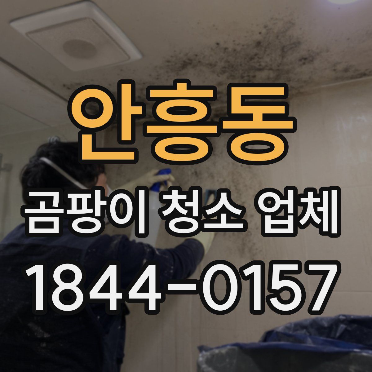 안흥동 곰팡이 청소 업체