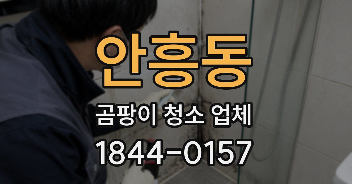 안흥동 곰팡이 청소 업체