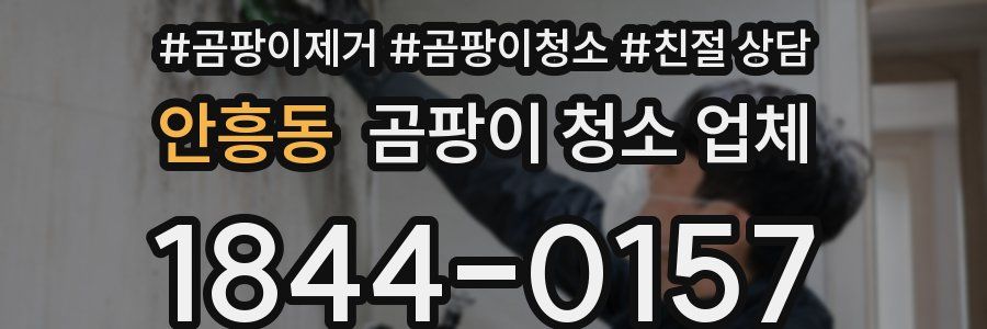 안흥동 곰팡이 청소 업체