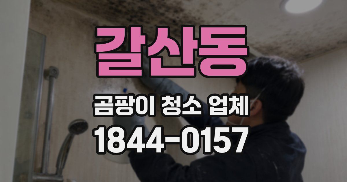 갈산동 곰팡이 청소 업체