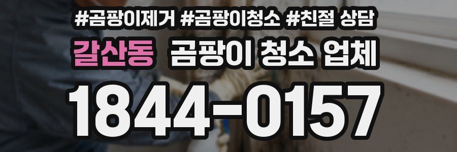 갈산동 곰팡이 청소 업체