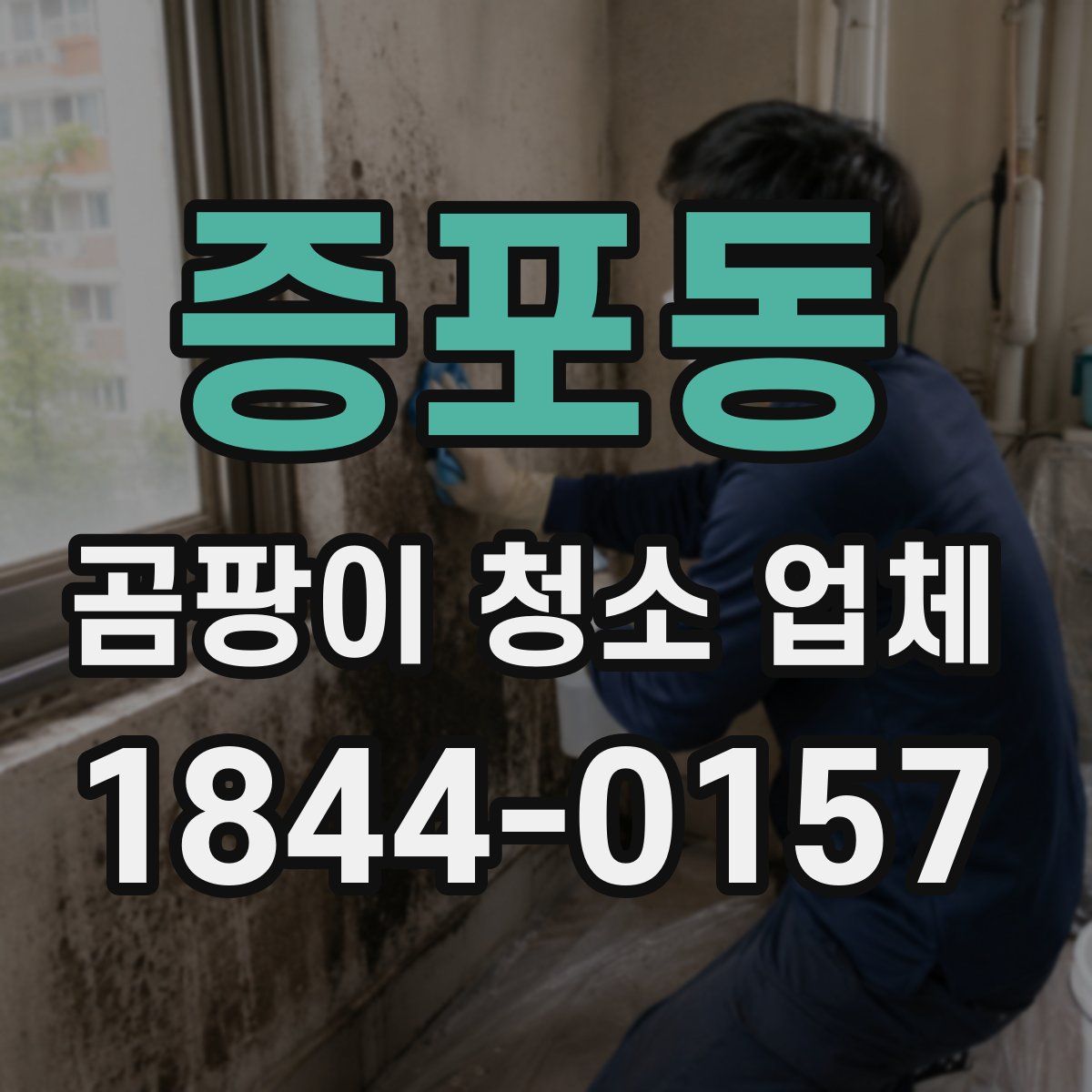 증포동 곰팡이 청소 업체