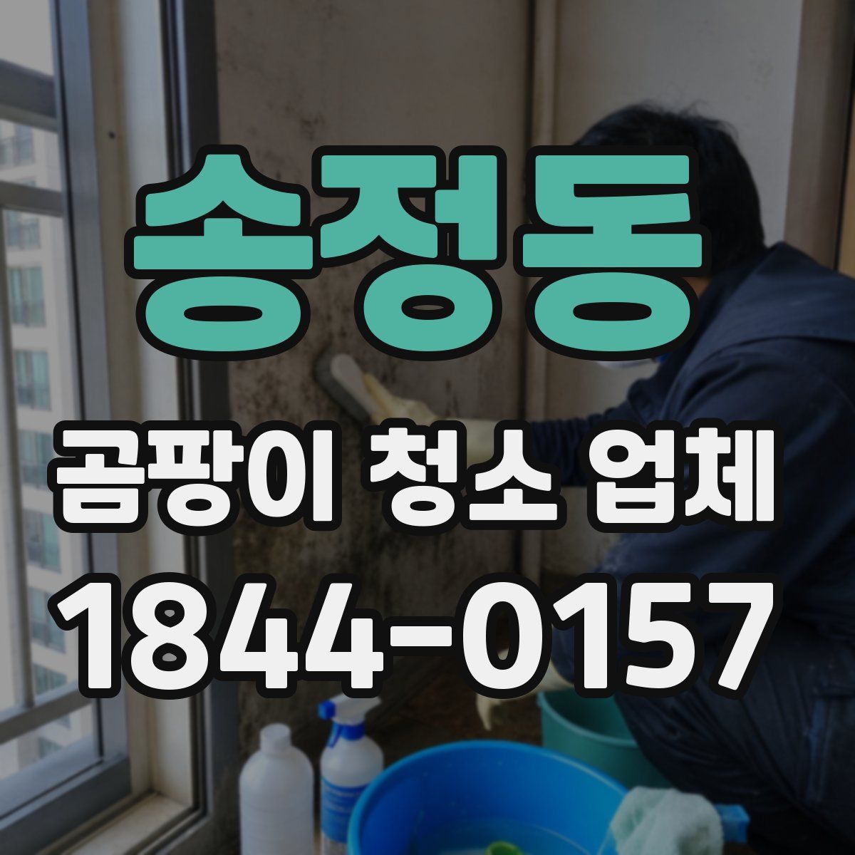 송정동 곰팡이 청소 업체