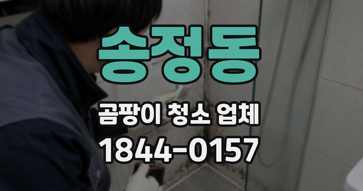 송정동 곰팡이 청소 업체