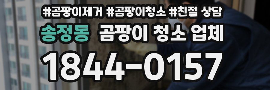 송정동 곰팡이 청소 업체